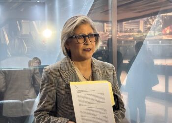 Busca Sandra Pámanes frenar instalación de parquímetros