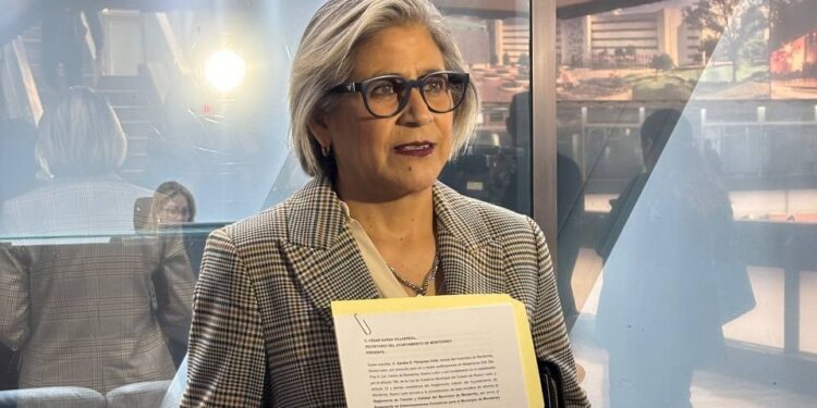 Busca Sandra Pámanes frenar instalación de parquímetros