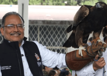 Escobedo impulsa la conservación de aves nativas
