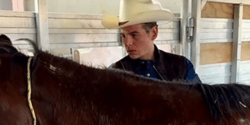 Creará Miguel Flores refugio para caballos en condiciones vulnerables