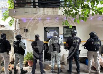 Aseguran más de 500 kilos de droga