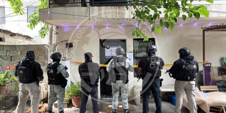 Aseguran más de 500 kilos de droga