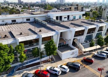 Promueve A y D trámites digitales para empresas