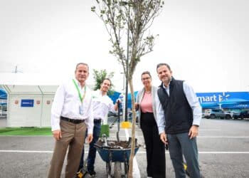 Aplican Norma para reforestar estacionamientos