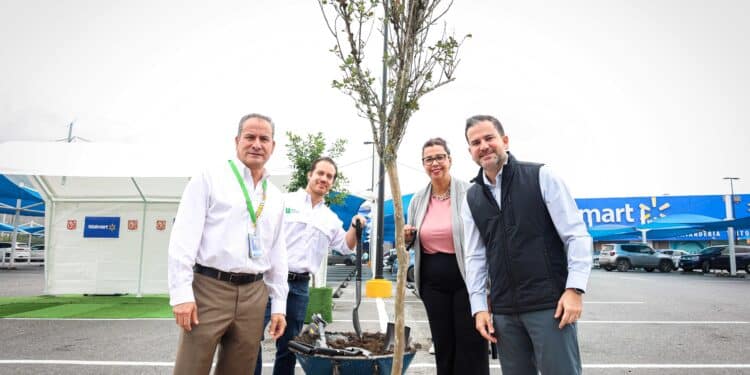 Aplican Norma para reforestar estacionamientos