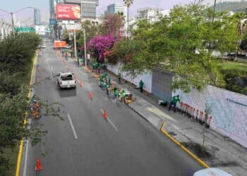 Realizan jornada de arborización en avenida Constitución