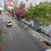 Realizan jornada de arborización en avenida Constitución