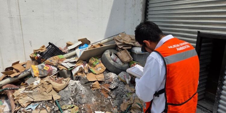 División ambiental incrementa vigilancia