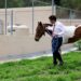 Garantiza Miguel Flores vida digna a “Manchas” en Santuario para caballos