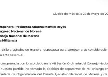 Hijo de AMLO quiere ser diputado por Tabasco