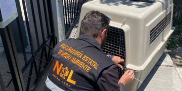 Rescatan animales en abandono en tres municipios de Nuevo León