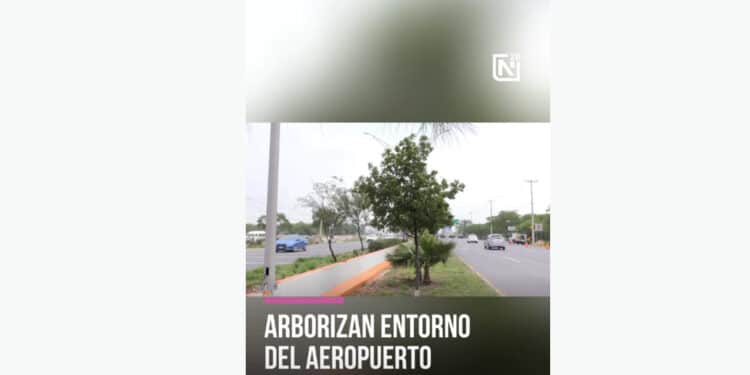 Árboles alrededor del aeropuerto.