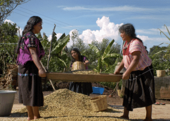 De Chiapas a la Cineteca NL