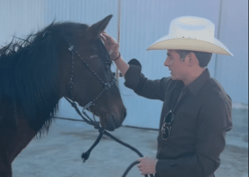 Suma Miguel Flores acciones de rescate animal