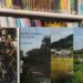 Presentarán colección editorial del Patrimonio intangible de NL