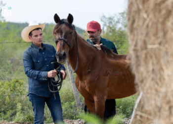 Anuncia Miguel Flores el santuario para caballos mas grande de AL