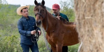 Anuncia Miguel Flores el santuario para caballos mas grande de AL