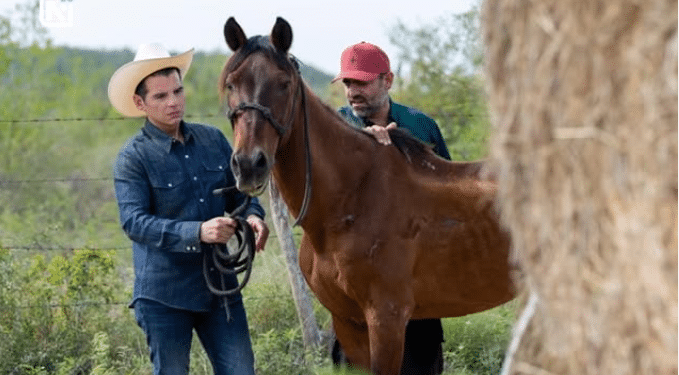 Anuncia Miguel Flores el santuario para caballos mas grande de AL
