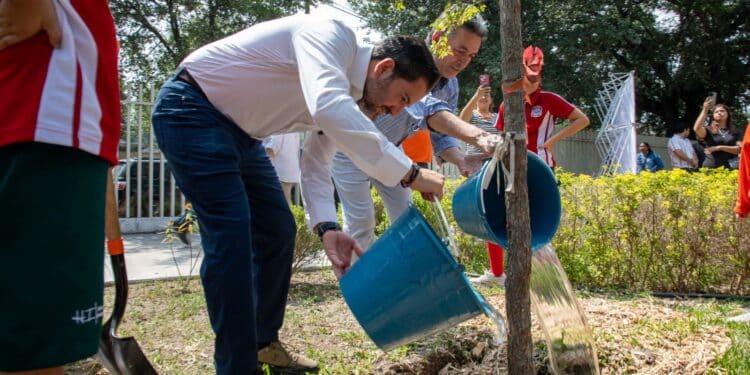 Reconocen a escuelas participantes en “Escuela verde”