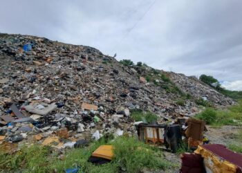 Avanza recuperación ambiental de Las Sabinitas