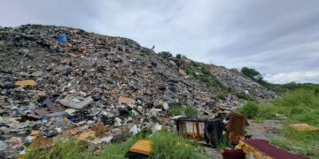 Avanza recuperación ambiental de Las Sabinitas