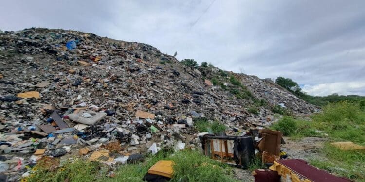 Avanza recuperación ambiental de Las Sabinitas
