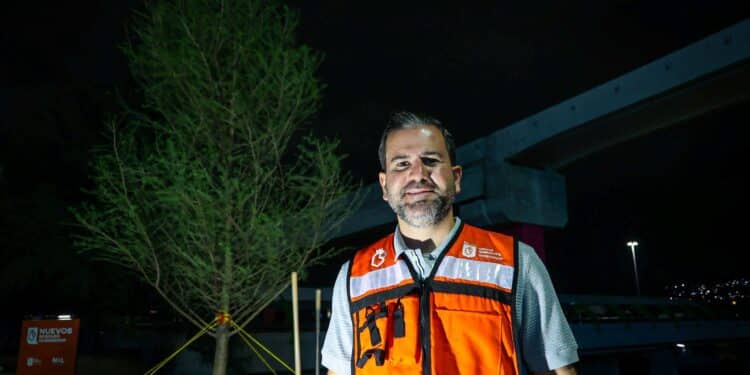 Realizan plantación nocturna de sabino en Constitución