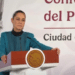 Detención del “Mayo” violaría tratados y constitución