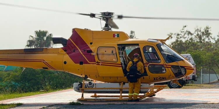 Reanudan combate de incendio forestal en Galeana
