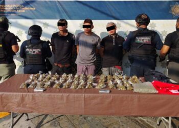 Detienen a siete presuntos narcodistribuidores