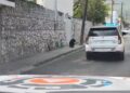 Oso pasea por el casco de San Pedro