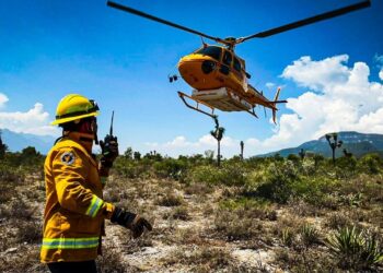 Envía Protección Civil NL cuarto brigadista a Canadá