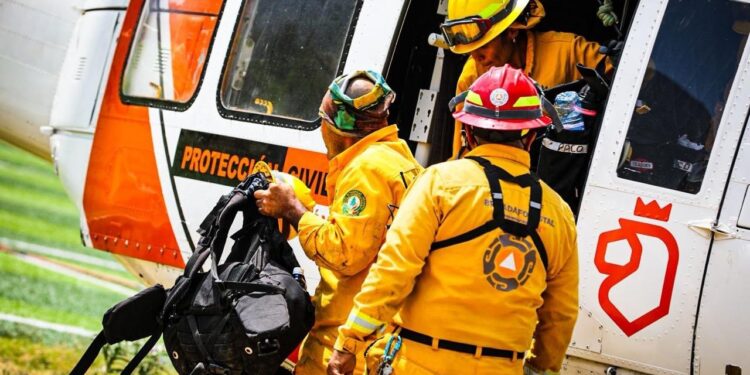 Combaten incendio forestal en Santiago