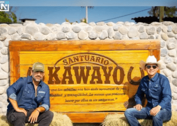 Mike Flores Anuncia inauguración de Kawayo