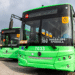 Entregan 25 nuevos camiones para la Ruta 160