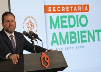 Llama Medio Ambiente a celebrar sin pirotecnia