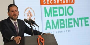 Llama Medio Ambiente a celebrar sin pirotecnia