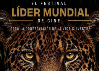Proyectan cine en pro de la vida silvestre