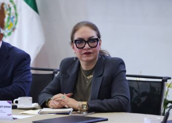 Renuncia Secretaria Ejecutiva del INE