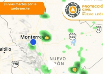 Dejan lluvias afectaciones en postes y árboles.
