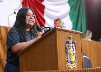 Piden Marisol González reforzar atención ante jaurías y animales agresivos