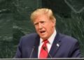 México es el epicentro de la violencia  de los cárteles: Donald Trump