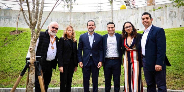 Arborizan estacionamiento en cumplimiento de norma