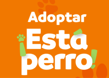 Crean portal para adoptar animales rescatados