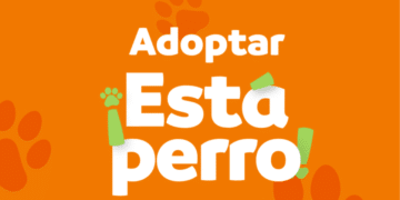 Crean portal para adoptar animales rescatados