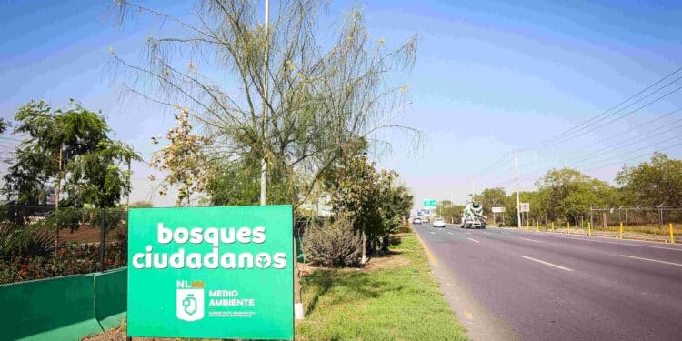 Supera NL el millón de árboles plantados
