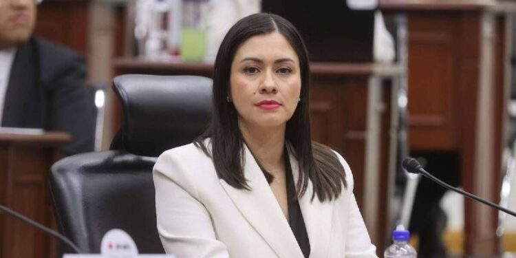 Eligen a Consejera Presidenta provisional del INE