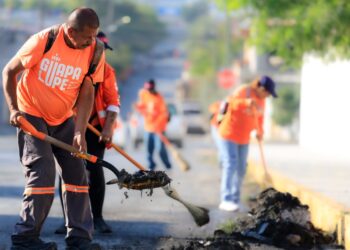 Realiza Guadalupe descacharrización
