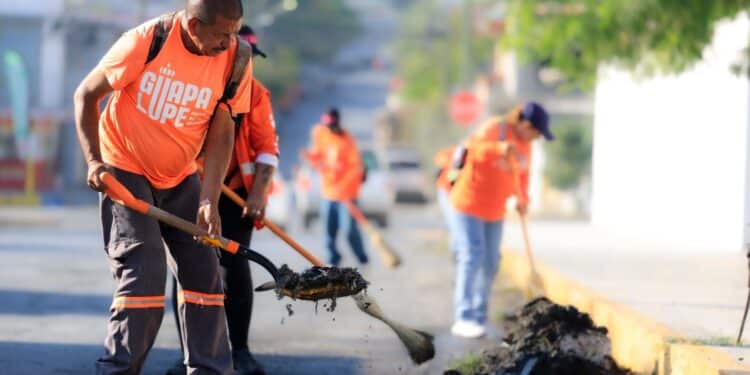 Realiza Guadalupe descacharrización