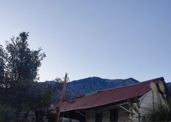 Se registra la primera helada de la temporada en Nuevo León